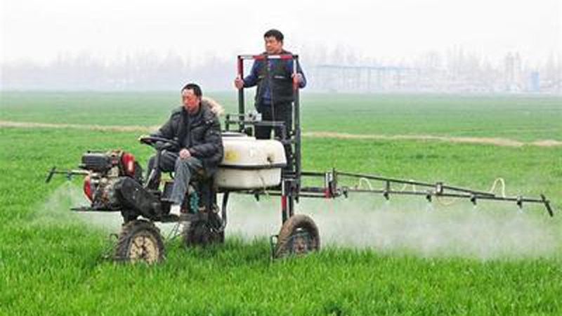 散养鸡栖架与自动喂料设备区别